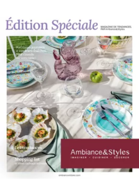 Prospectus Ambiance et styles Saint-Brieuc : Édition Spéciale