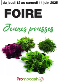 Prospectus Promocash Aurillac : Catalogue Promocash