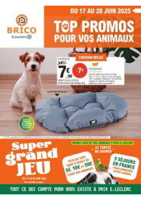 Prospectus Brico E.Leclerc RIVIERES / LA ROCHEFOUCAULD : Trafic Animalerie 6