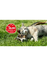 Prospectus Médor et compagnie Vandoeuvre : Les soldes sont là !!