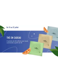 Prospectus Coffea Paris 52 bd Saint Germain : Thé en Cadeau