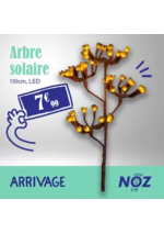 Prospectus NOZ : ARRIVAGE Arbre solaire