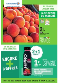 Prospectus E.Leclerc THOUARS : TRAFIC POUVOIR ACHAT 9 - MIXTE