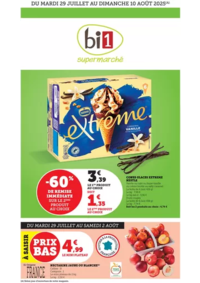 Prospectus bi1 PIERRE DE BRESSE : Catalogue Bi1