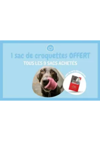 Prospectus Médor et Compagnie Sallanches : 9 sacs de croquettes ou de litière achetés, le 10ème offert
