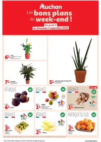 Prospectus Auchan CASTRES : Les bons plans du week-end dans votre hyper !