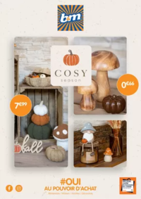 Prospectus Babou Cusset : Cosy