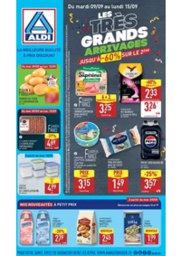 Prospectus Aldi Romilly-sur-Seine : Les très grandes arrivages