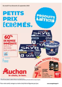 Prospectus Auchan DARDILLY : Petits prix écrémés