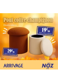 Prospectus Noz Mutzig : Pouf coffre champignon