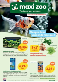 Prospectus Maxi zoo Anthy sur Leman : Plongez dans un monde magique !