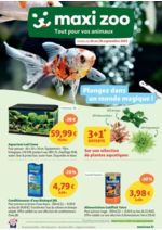Prospectus  : Plongez dans un monde magique !