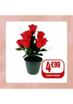 Promos et remises  : Des fleurs qui durent, des couleurs qui réchauffent le cœur : la Toussaint se prépare en douceur.