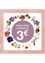 Promos et remises  : Toussaint en couleurs : nos fleurs illumineront vos souvenirs