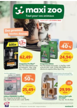 Prospectus  : Maxi Zoo, des promos toutes douces