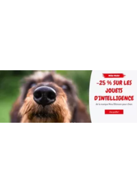 Prospectus Médor et compagnie Terville : -25 % sur les jouets d'intelligence