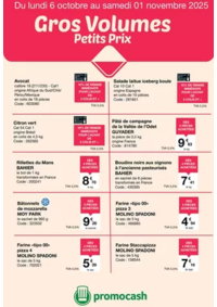 Prospectus Promocash Lannion : Cros volumes Petits Prix