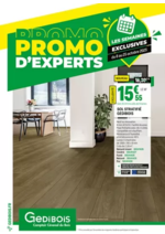 Prospectus Gedibois : Promos d'experts