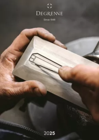 Gastro 2025 Prospectus Guy Degrenne : Gastro 2025