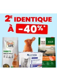 Prospectus Animalis Bondy : 2ème à -40% identique