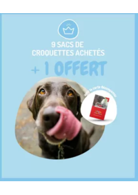 Prospectus Médor et Compagnie Chambray-lès-Tours : 9 sacs de croquettes achetés + 1 sac OFFERT