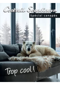 Prospectus Cocktail Scandinave Palaiseau : Spécial canapés 2025