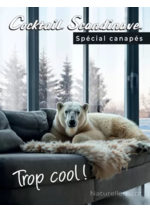 Prospectus Cocktail Scandinave : Spécial canapés 2025