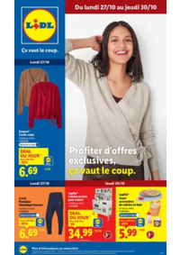 Prospectus Lidl CHATEAUBRIANT : Profiter d'offres exclusives avec lidl.fr, ça vaut le coup