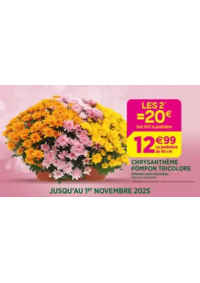 Prospectus Delbard Crest : Célébrons la Toussaint ensemble !