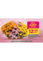 Prospectus  : Célébrons la Toussaint ensemble !