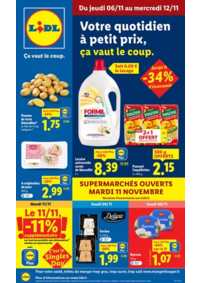 Prospectus Lidl RUE : Retrouvez la gamme Favorina à prix Lidl : panettone, biscuits de Noël, pâte d'amande...